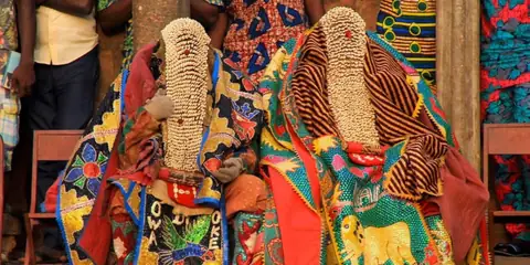What Makes Human Culture Unique Compared to Other Species?