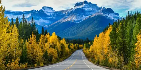 12 Must-Visit Stops on a Vancouver–Seattle Road Trip